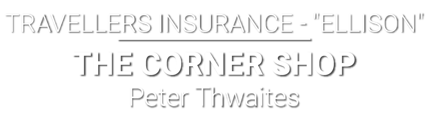 Travellers Insurance - Ellison